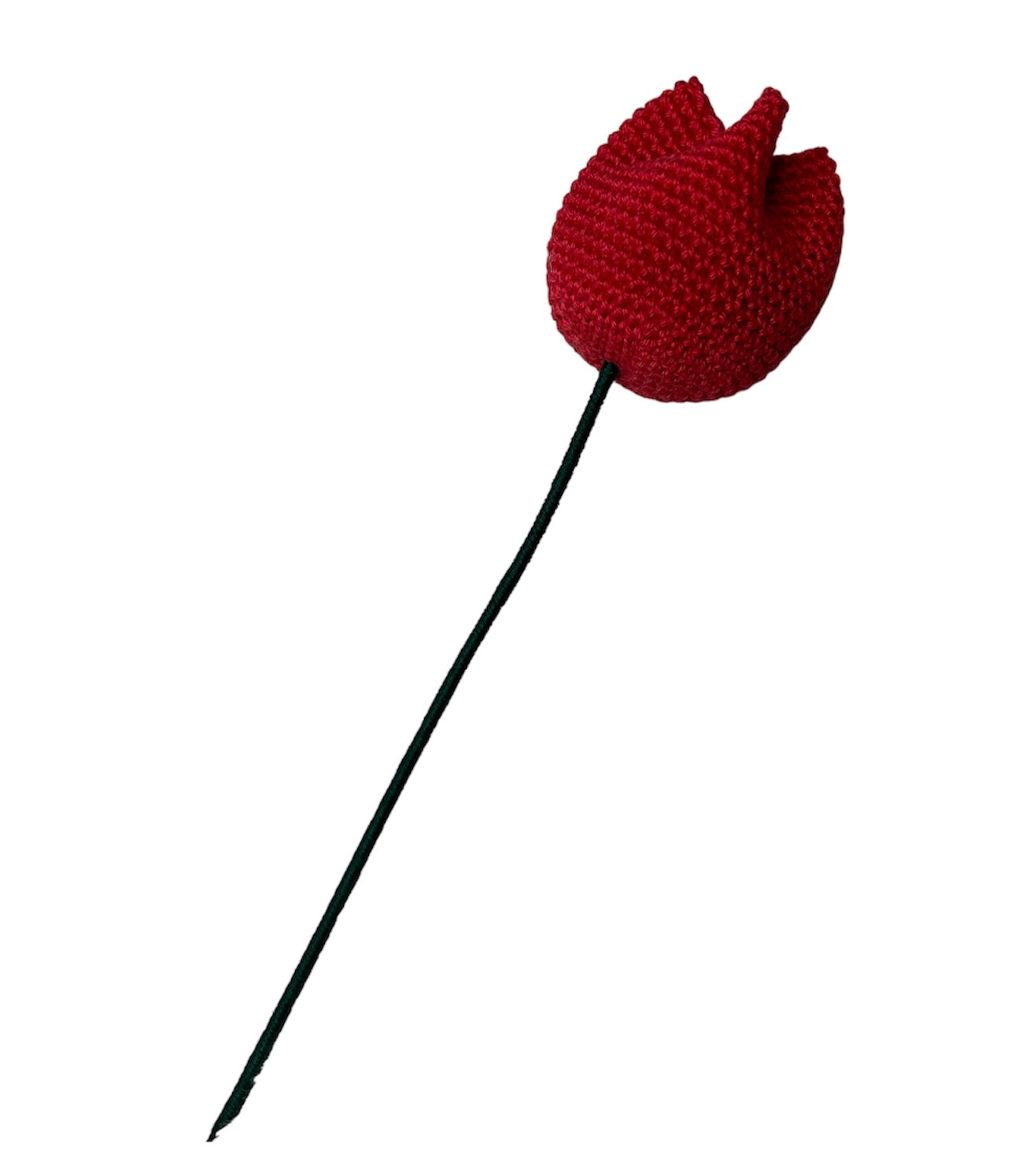 Tulipe
