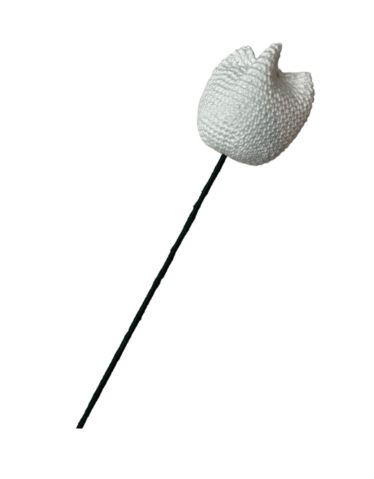 Tulipe