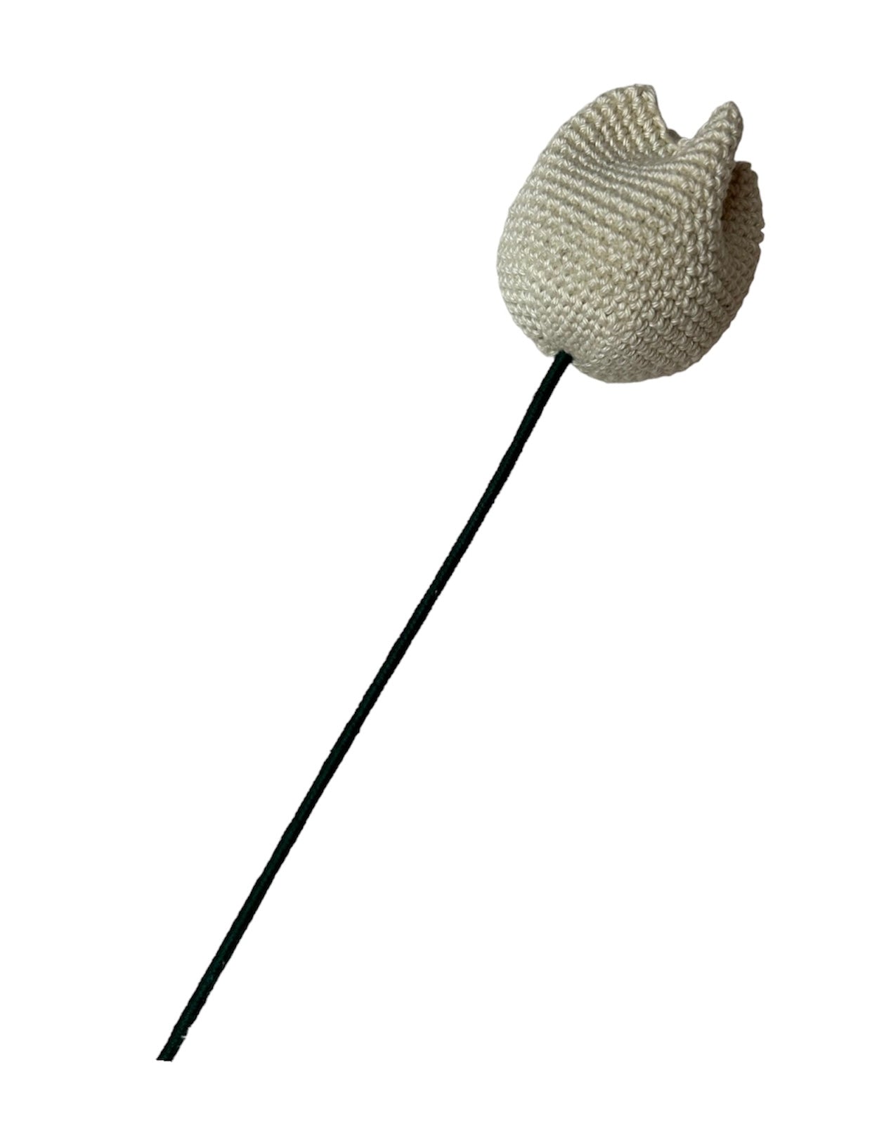 Tulipe
