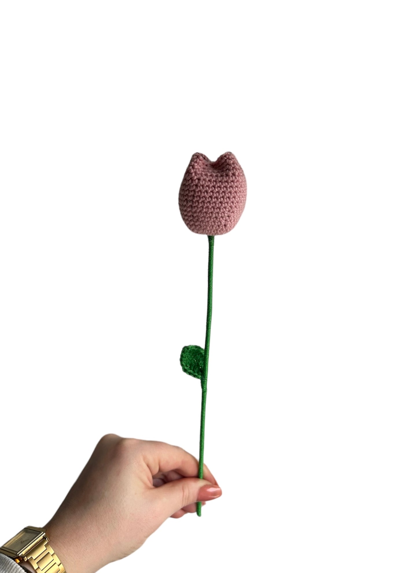 Tulipe