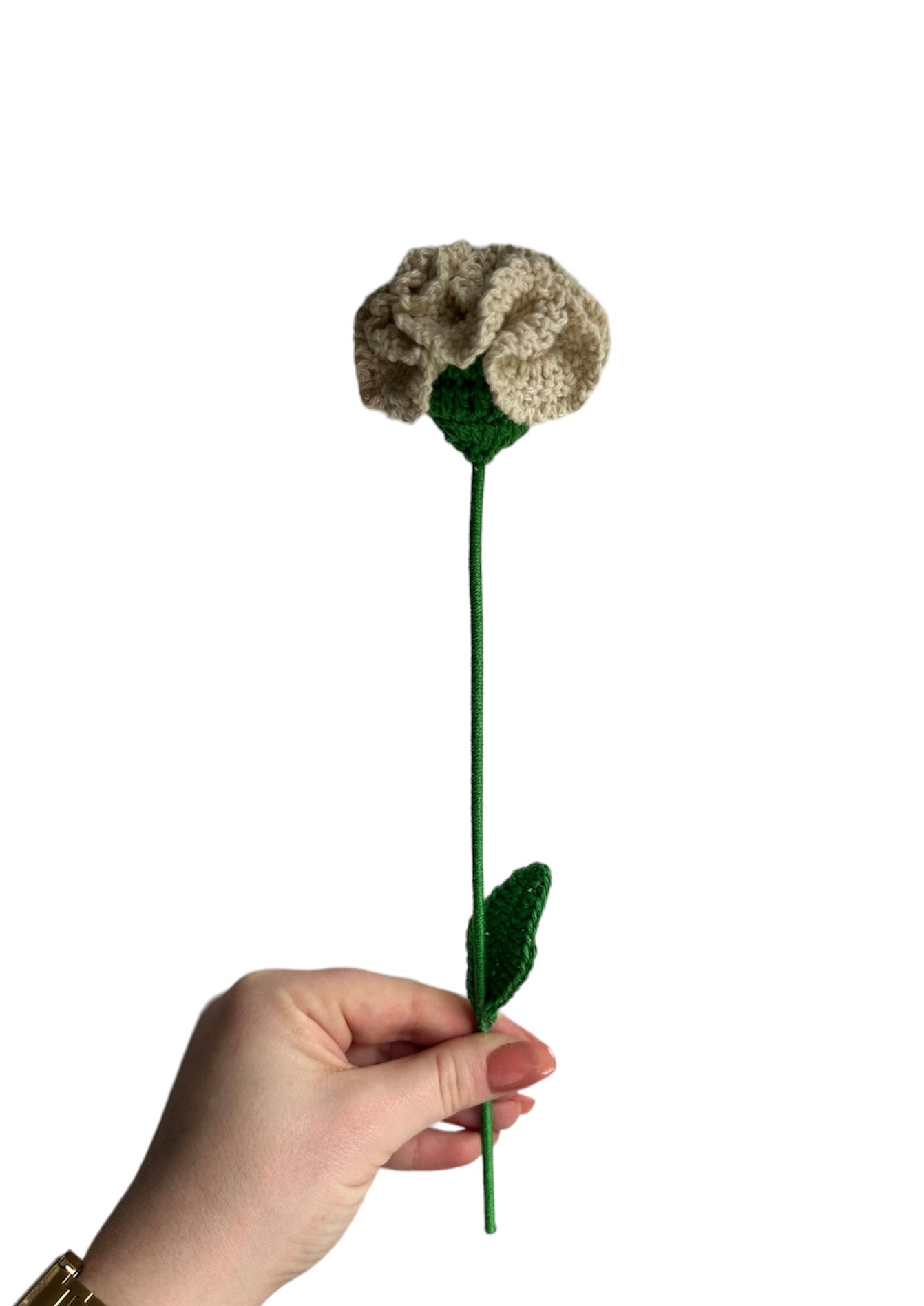 Œillet